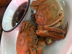 -全乐鱼馆·淳牌有机鱼直营店