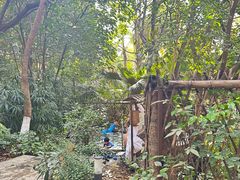 -丰泰花园酒店热矿泉