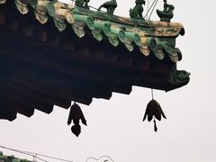 -隆兴寺
