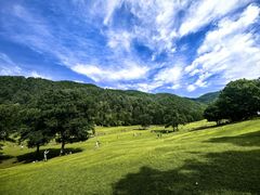 -汤旺河林海奇石景区
