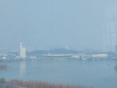 -湖景知味西餐厅•自助餐• 轻食(南京金茂威斯汀大酒店)