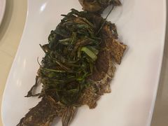 -王宝和酒家(黄浦店)