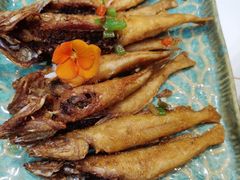 -鸢飞潍坊菜馆(鸢飞大酒店)