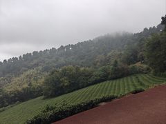 -敬亭山风景名胜区