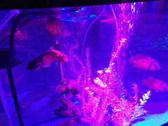 -常州海昌海洋探索馆