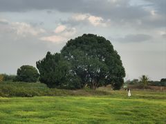 -良渚古城遗址公园