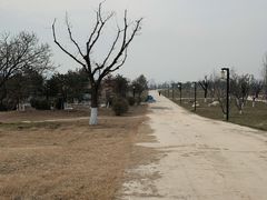 -汉长安城未央宫国家考古遗址公园