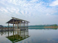 -溱湖国家湿地公园