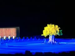 -鼎盛王朝康熙大典实景演出