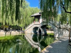 -团结湖公园