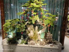 -渝乡辣婆婆·川菜 水煮鱼(中山西路店)