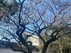 -无锡梅园公园