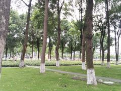 -温江公园