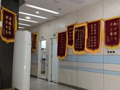 -中农国际动物医院24小时·猫科·骨科·急重症中心