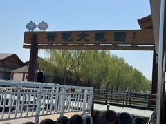 -白洋淀景区