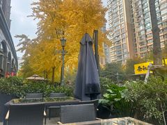 -沙田轩(古北店)