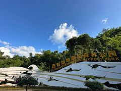 -西双版纳原始森林公园