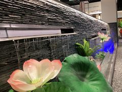 -大榕树下顺德菜(融创茂店)