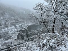 -四明山国家森林公园