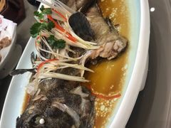 -保定会馆(秀兰店)