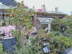 -胡桃里音乐酒馆(环亚凯瑟琳广场店)