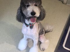 -宠颐生动物医院·心脏科·保险定点(锦阳分院)