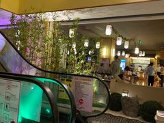 -汤泉良子(金源店)