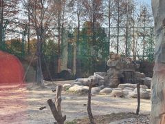 -上海野生动物园老虎餐厅