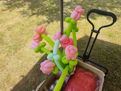 -贡湖湾湿地公园