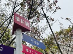 -高东镇樱花园