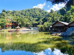 -西双版纳原始森林公园