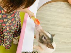 -猪盟咖啡店(玖洲道店)