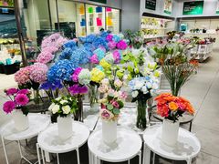 -盒马X会员店(上海森兰商都店)