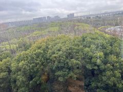 -常州环球恐龙城维景国际大酒店
