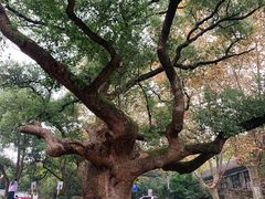 -中国美术学院象山校区-民艺博物馆