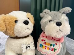 -帕帕拉兹宠物(亚洲旗舰店)