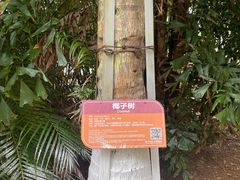 -白沙门生态公园