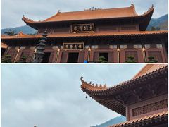 -深圳仙湖植物园