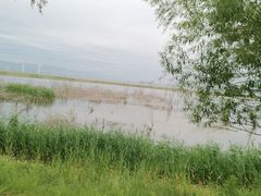 -野鸭湖国家湿地公园