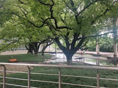 -葑门横街