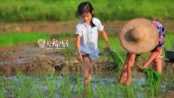 -麦粒鸟亲子游