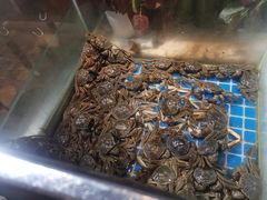 -鑫海汇海鲜烤肉自助(北国商城店)