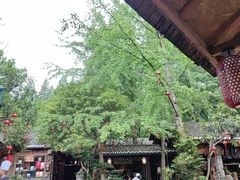 -青城甲(青城山店)