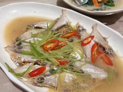-大浪潮·潮汕菜·招牌生腌小青龙(福田店)