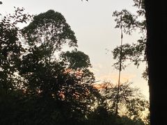 -火炉山森林公园