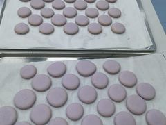 -米柚烘焙教室(新天地购物中心店)