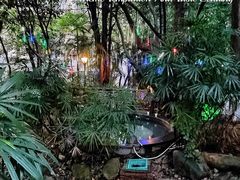 -丰泰花园酒店热矿泉