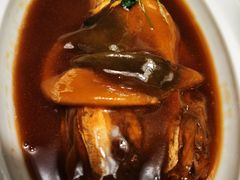 红烧河豚-肆月河豚·新淮扬(金融街店)