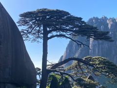 -黄山风景区