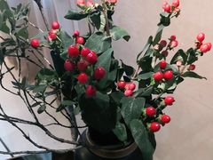 -旺顺阁海鲜广场(亚运村店)